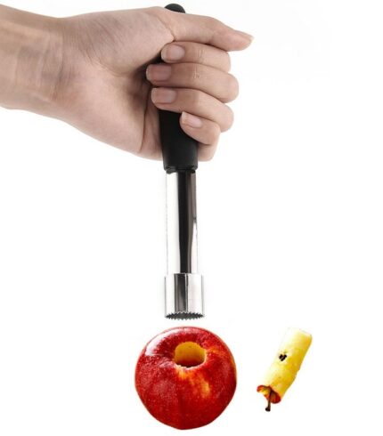 Fruit Seed Remover 1
